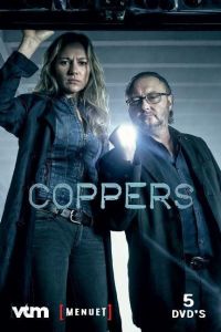 Грубое правосудие (2016)