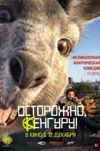   Хроники кенгуру (2020)